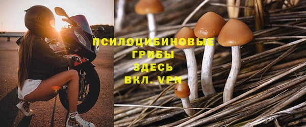 тгк Алзамай