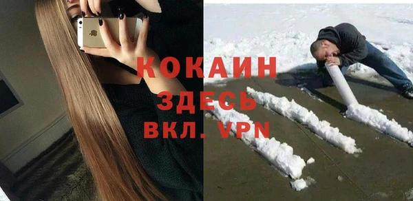 тгк Алзамай