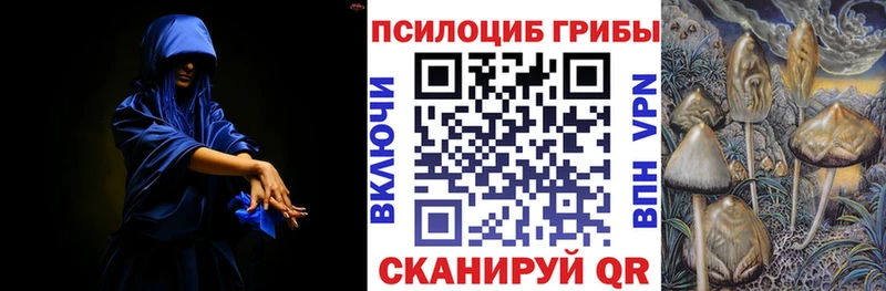 Псилоцибиновые грибы мицелий  darknet формула  Кирс 